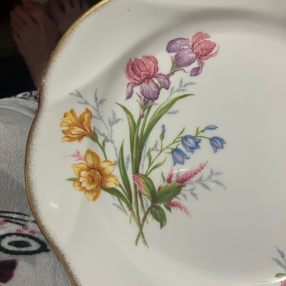 Vintage Salisbury Fine Bone China Floral 8" Plate England - Picture 7 of 15